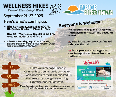 Wellness Hikes poster Wellness Hikes poster